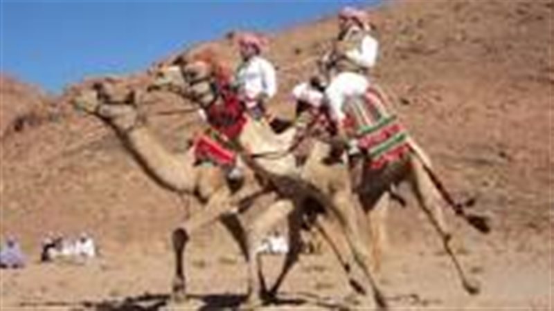 تحيا مصر