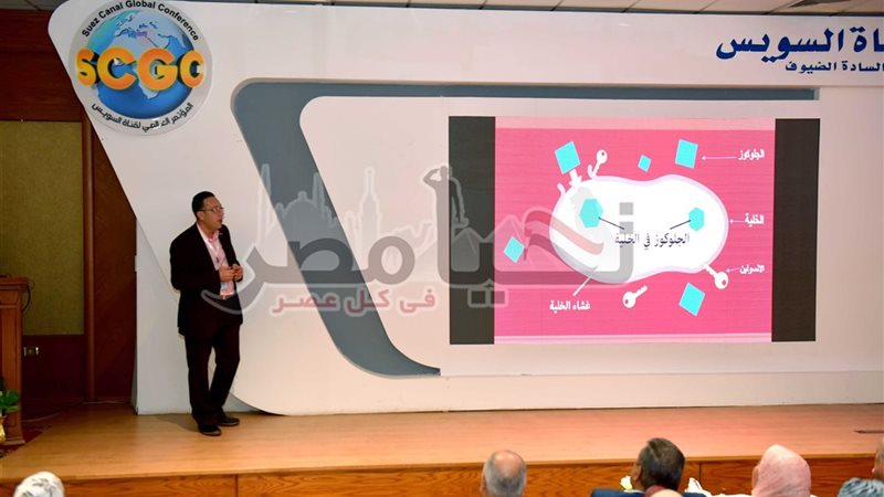 تحيا مصر