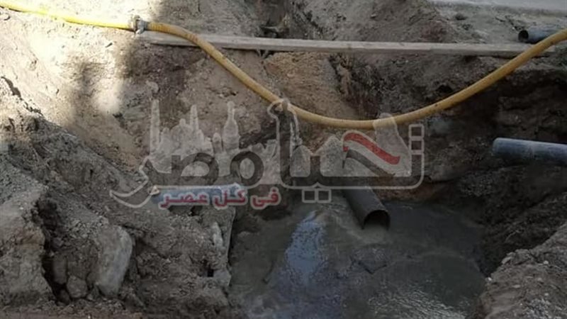 تحيا مصر