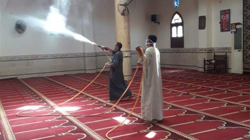 تحيا مصر