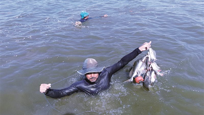 تحيا مصر