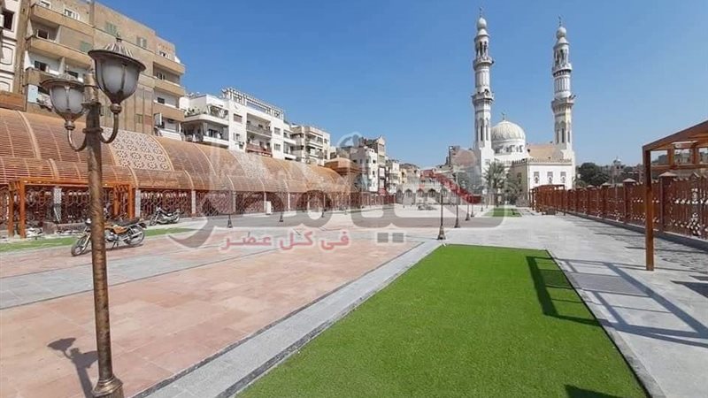 تحيا مصر