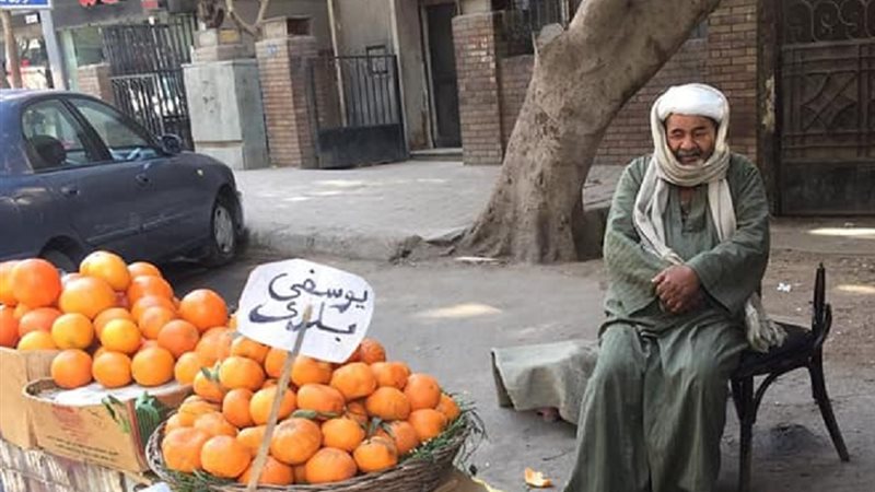 تحيا مصر