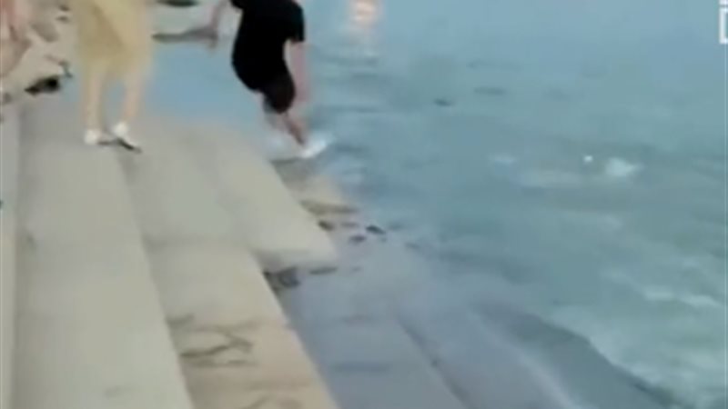 تحيا مصر