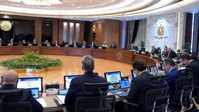 مجلس الوزراء يوافق على إجراءات حوكمة منظومة استيراد سيارات ذوي الهمم