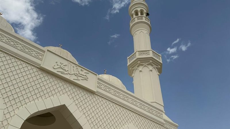 تحيا مصر