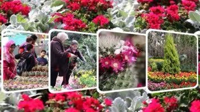 تحيا مصر