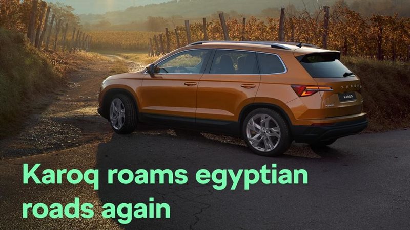تحيا مصر