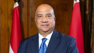 محمد مصيلحي: المتحف المصري الكبير.. 