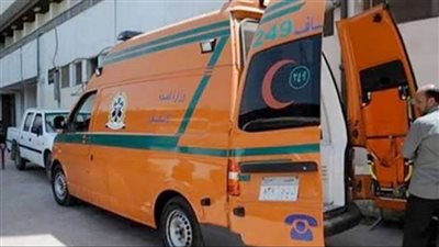 بعد 40 يومًا من وفاة زوجها.. سيدة تفقد حياتها لإنقاذ نجلها