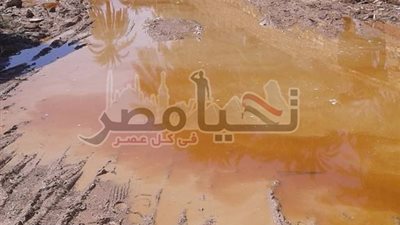 إستغاثة .. أهالى قرية الرغامة: البلد بتغرق فى اسوان