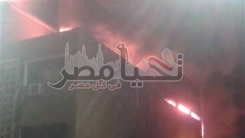 تحيا مصر