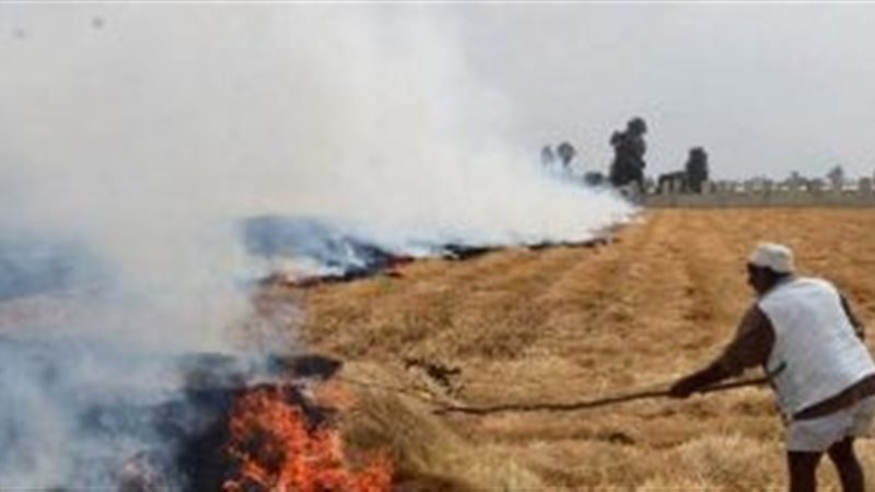 تحيا مصر