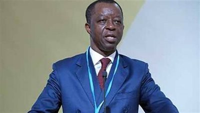 وصول رئيس البرلمان الأفريقى إلى القاهرة