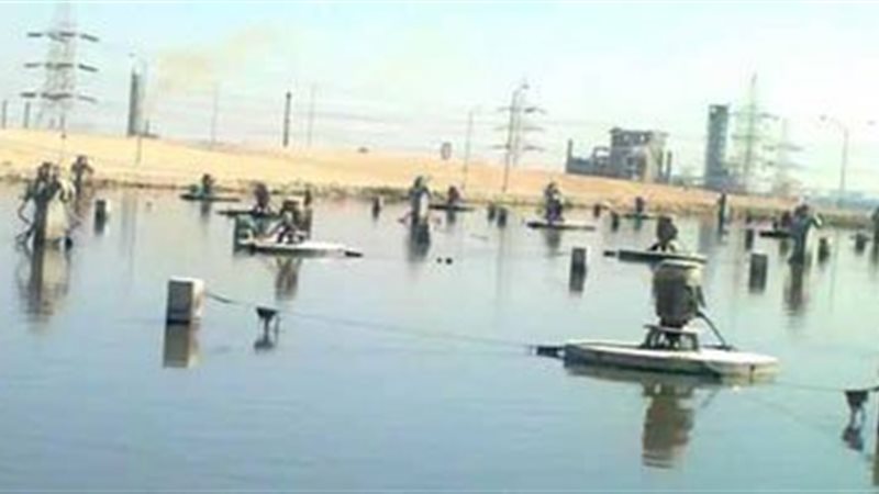 تحيا مصر