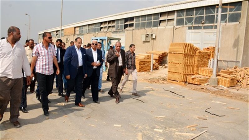 تحيا مصر