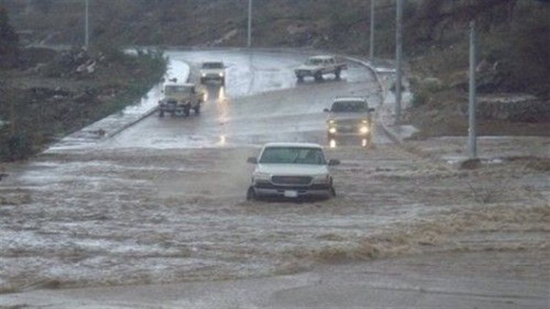 تحيا مصر
