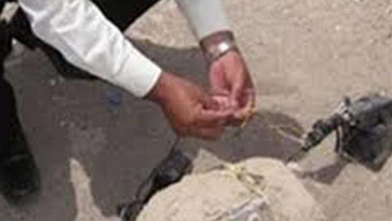 تحيا مصر