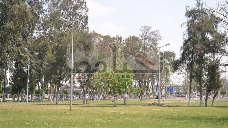تحيا مصر