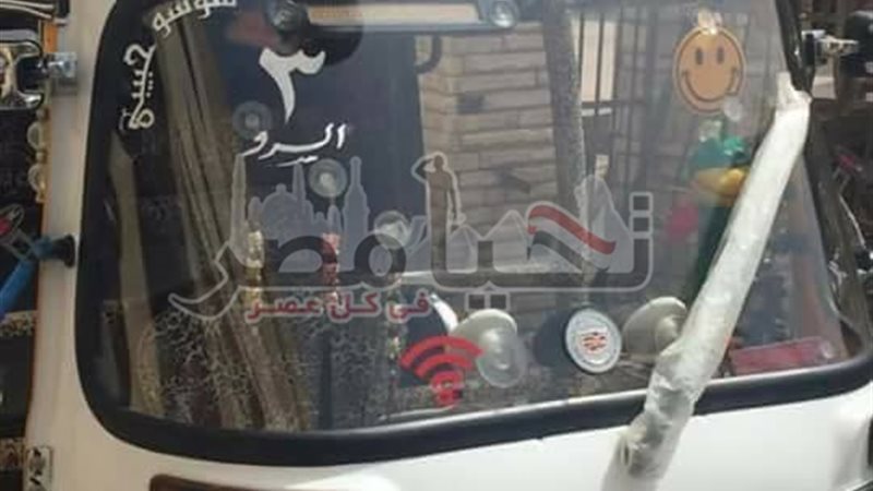 تحيا مصر
