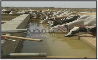 إنشاء محطة رفع مياه الشرب بمدينة واو بجنوب السودان
