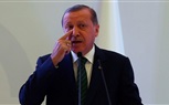 برلمانية ألمانية تتهم أردوغان بالتحريض ضد النواب