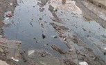 بالصور:المياه الجوفية تهدد قرية الكلح بأدفو من أنتشار الامراض وانهيار المنازل 