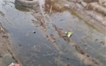 بالصور:المياه الجوفية تهدد قرية الكلح بأدفو من أنتشار الامراض وانهيار المنازل 