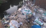 بالصور: كفر طنبدي بشبين الكوم غارقة بالقمامة