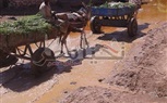 بالصور..المياه الجوفية مصدر معاناة أهالي قرية الرغامة في كوم أمبو