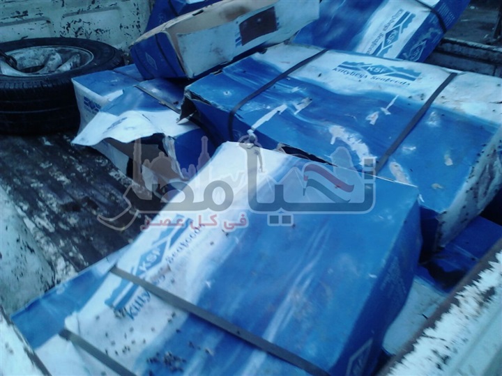 بالصور.. ضبط 325 كيلو سمك فاسد بثلاجة فى قرية أبوعطوة بالاسماعيلية 