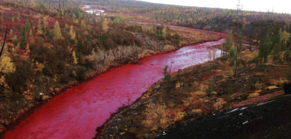 بالصور..نهر روسي يتحول لـ"دم".. وسكان: التفسير لدى "نيل مصر" 