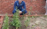 بالصور.. ضبط زراعة نباتات البانجو فوق سطح قاعة روتانا للأفراح بالباجور