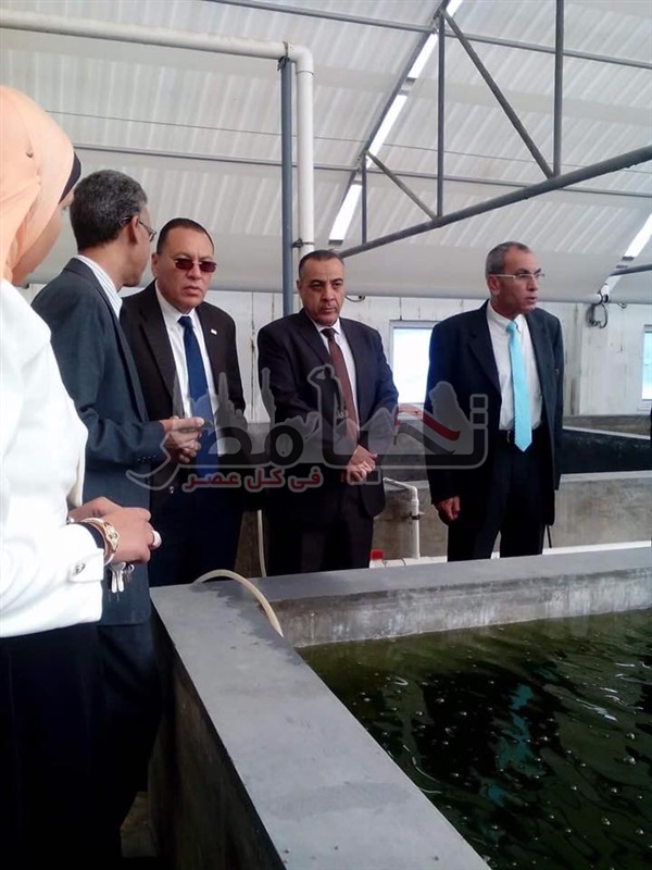 رئيس جامعة قناة السويس يتفقد زريعة الاسماك بالجامعة لإمداد المشروع القومي للاستزراع السمكى