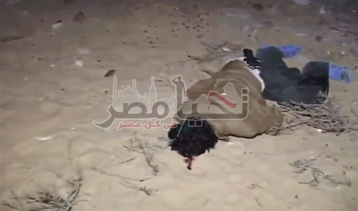 بالفيديو والصور ننشر تفاصيل مقتل 10 من العناصر الارهابية من منفذ عملية كمين "المطافي"