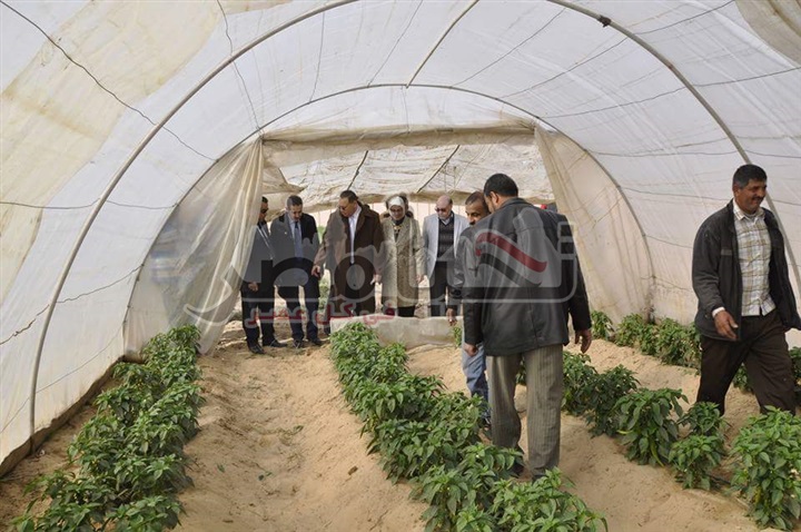 لمواجهة موجة علاء الأسعار الدكتور ممدوح غراب يؤكد ان منتجات مزارع جامعة قناة السويس بالأسواق خلال أيام