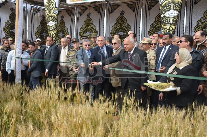 بالصور.. وزراء الموارد المائية والرى والتموين يشهدون الاحتفال بحصاد انتاج محصول القمح بالتبريد بالاسماعيلية