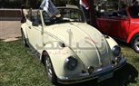بالصور.. لقاء القاهرة الخامس للسيارات الكلاسيكية