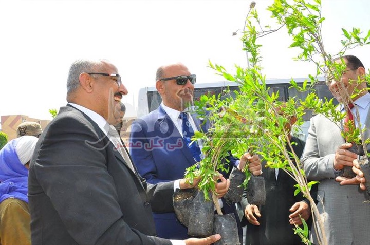 "ابو العطا" سعيد بمبادرة الأشجار المثمرة وإدعو لتعميمها بكافة المدن