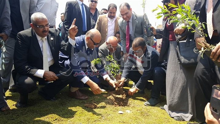 "ابو العطا" سعيد بمبادرة الأشجار المثمرة وإدعو لتعميمها بكافة المدن