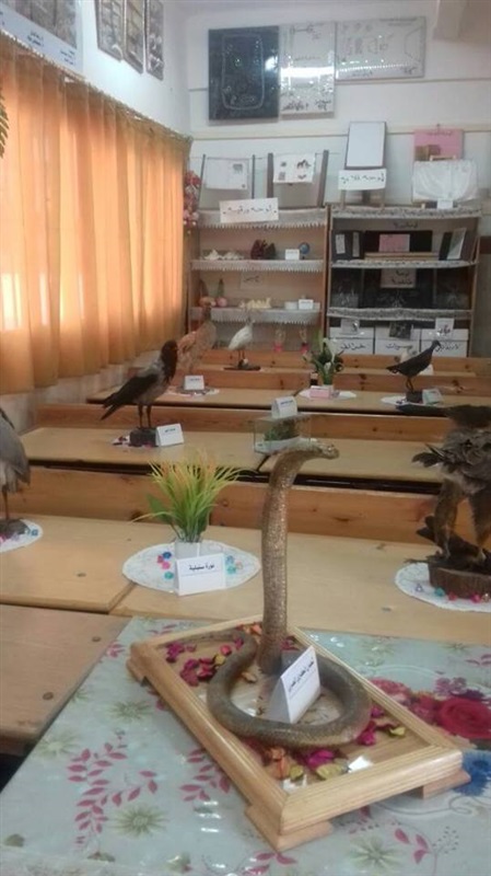 تعليم الغربية تفتتح المتحف الخاص بنماذج محنطة من الكائنات الحيوانية والنباتية