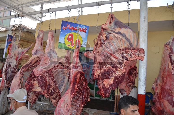 محافظ الإسماعيلية يتفقد منفذ بيع اللحوم البلدية بمركز البحوث الزراعية