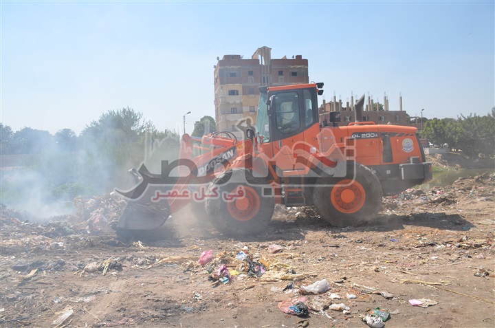 بالصور.. حى ثانى الإسماعيلية ينظم حملة نظافة بمدخل المحافظة من جهة طريق بورسعيد