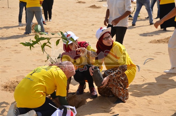 200 شاب يزرعون 80 ألف شتلة لأشجار المانجو بقرية "الأمل" بمشاركة وزارة الشباب والرياضة