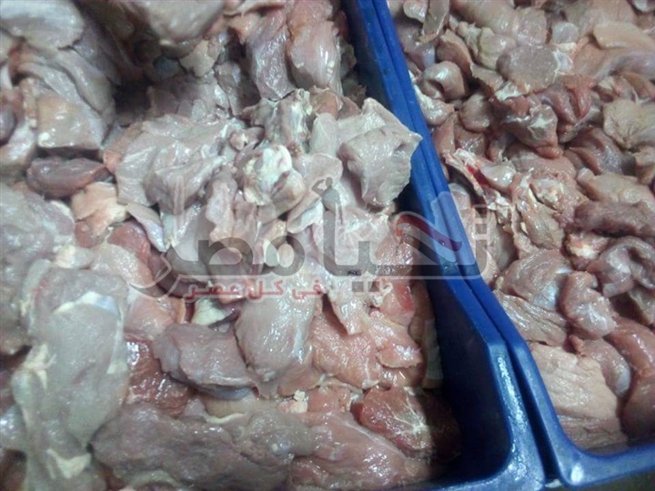 تموين الإسماعيلية تشن حملة على مطاعم المستقبل تسفر عن ضبط كمية من اللحوم ومصنعات الدجاج منتهية الصلاحية