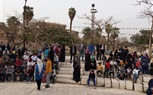 أمانة القاهرةبحماة الوطن تنظم احتفالية بيوم اليتيم 