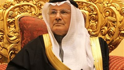 برلماني سعودي: حكومة قطر لديها سذاجة سياسية