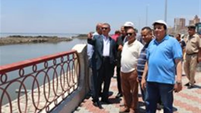 تحيا مصر