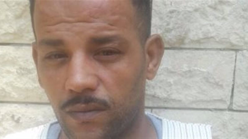 تحيا مصر