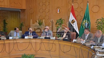 خلال إجتماع المجلس التنفيذى بالإسماعيلية 